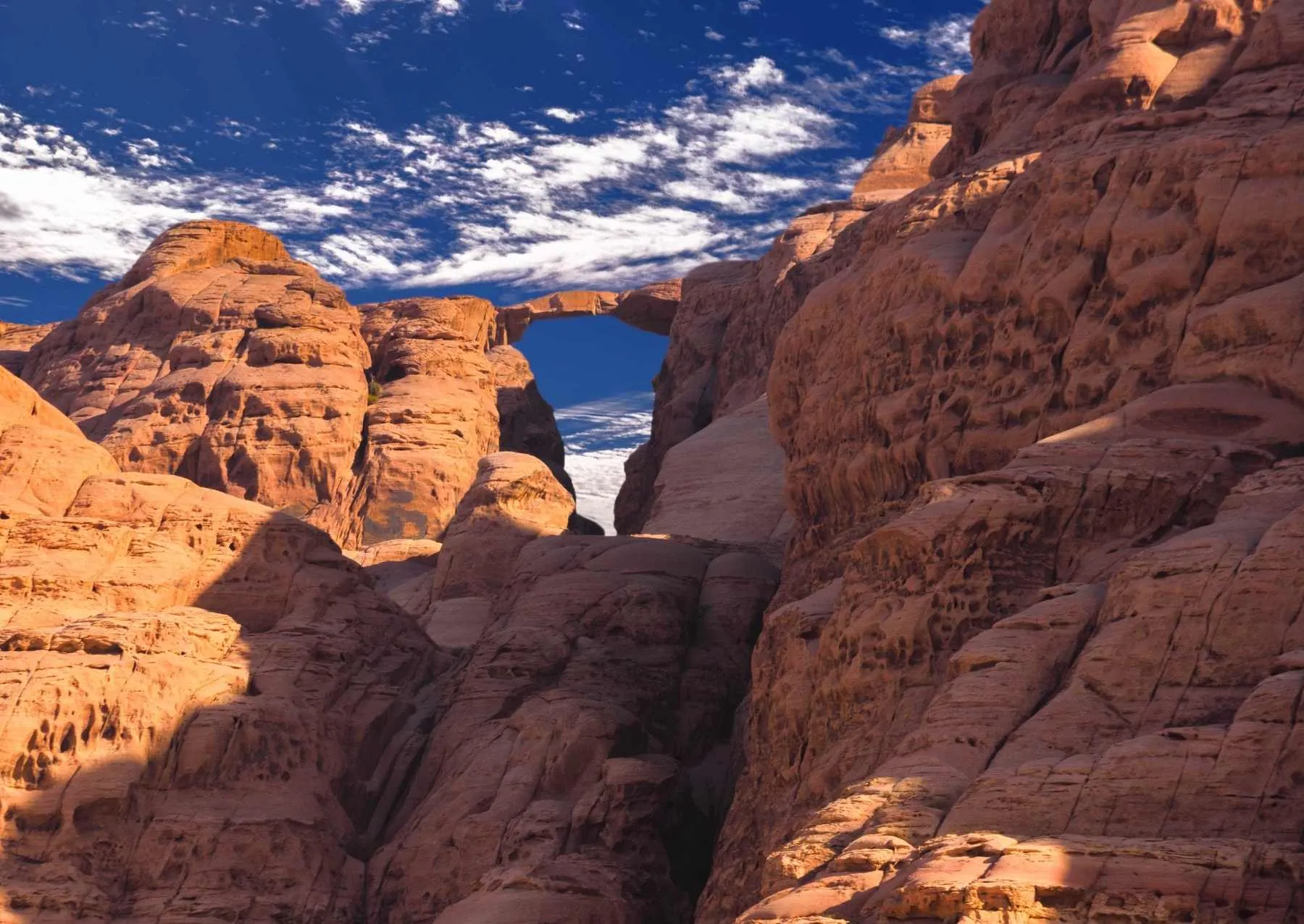 Tour di trekking in montagna Jabal Burdah nel Wadi Rum (WR-JHT-008)